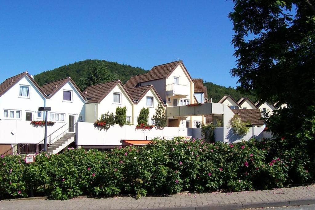Seeblick Geniessen In Schoener Fewo Am Edersee Scheid  Dış mekan fotoğraf
